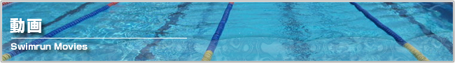 水泳動画