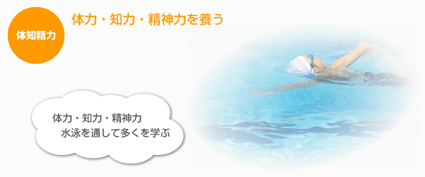 体力知力精神力